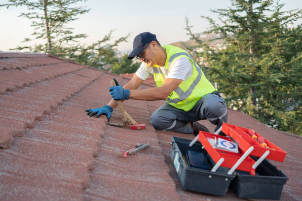 Best Sealant for Roof  in Twisp, WA